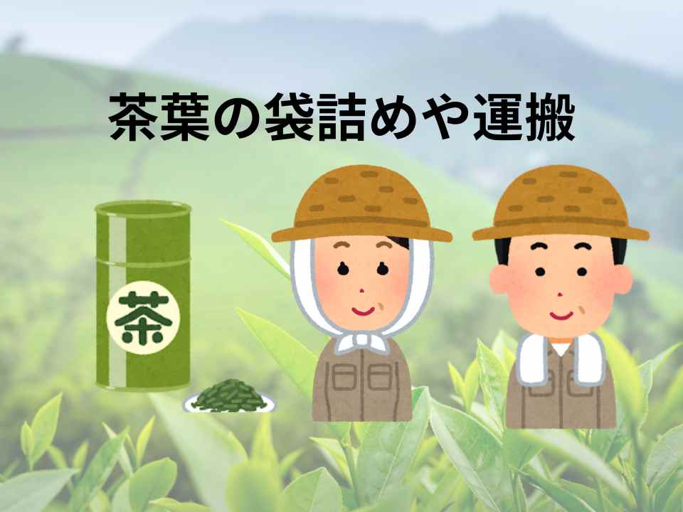 バイト先の写真